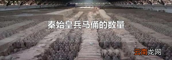 秦始皇兵马俑的数量