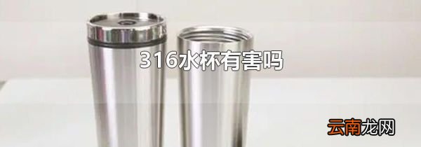 316水杯有害吗