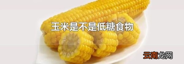 玉米是不是低糖食物