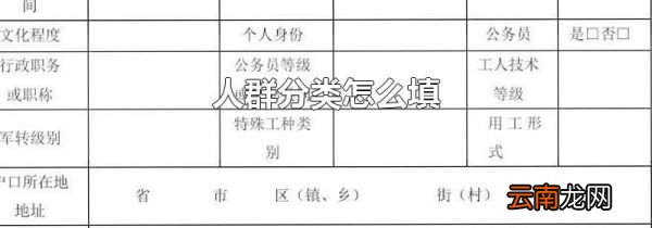 人群分类怎么填