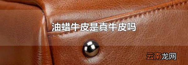 油蜡牛皮是真牛皮吗
