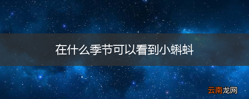 在什么季节可以看到小蝌蚪
