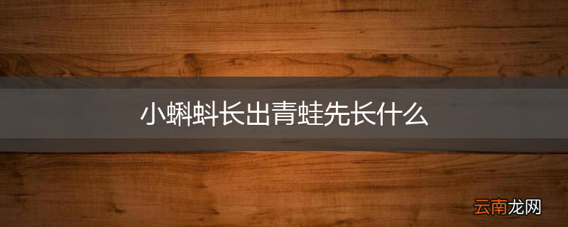 小蝌蚪长出青蛙先长什么