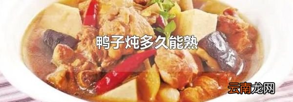 鸭子炖多久能熟