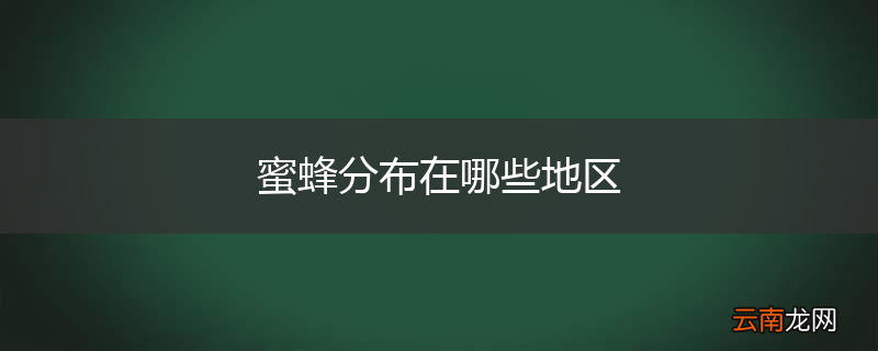 蜜蜂分布在哪些地区
