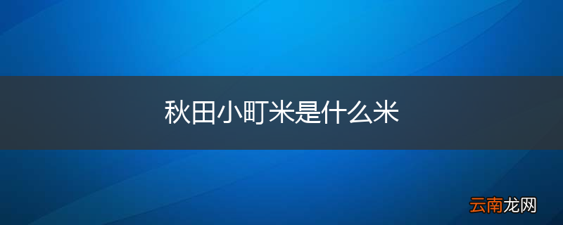 秋田小町米是什么米