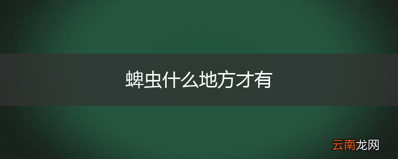 蜱虫什么地方才有