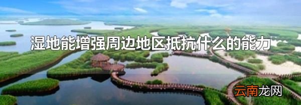 湿地能增强周边地区抵抗什么的能力