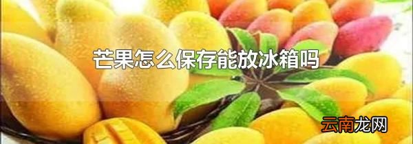 芒果怎么保存能放冰箱吗