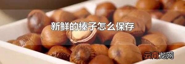新鲜的榛子怎么保存