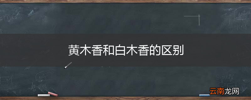 黄木香和白木香的区别