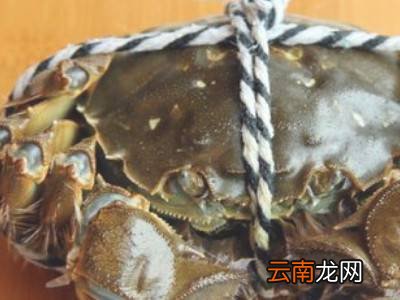 大闸蟹怎么捆扎