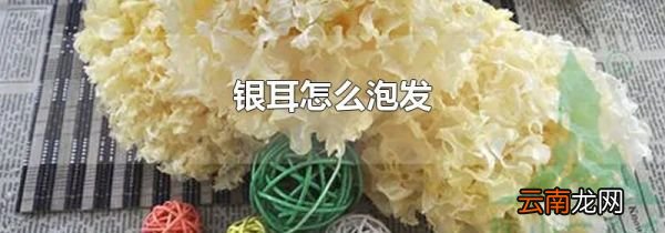 银耳怎么泡发