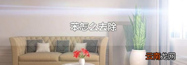 苯怎么去除