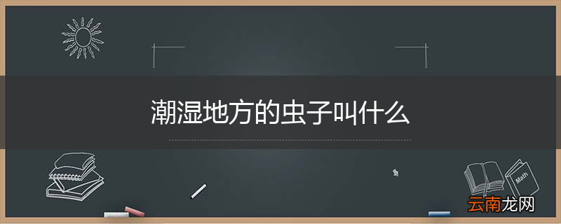 潮湿地方的虫子叫什么