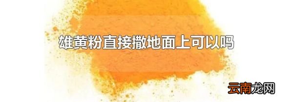 雄黄粉直接撒地面上可以吗