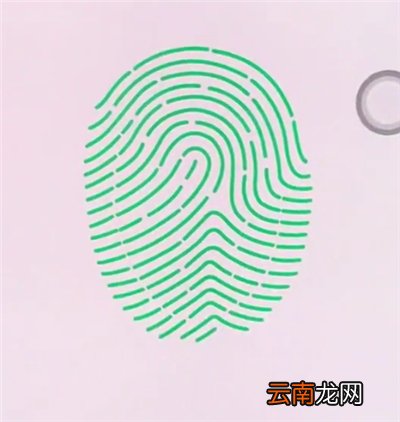 oppo手机中录指纹的操作步骤