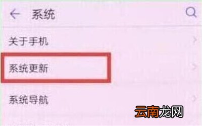 华为p30中将系统自动更新关掉具体操作步骤