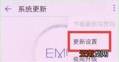 华为p30中将系统自动更新关掉具体操作步骤