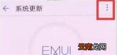 华为p30中将系统自动更新关掉具体操作步骤