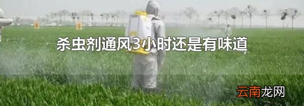 杀虫剂通风3小时还是有味道