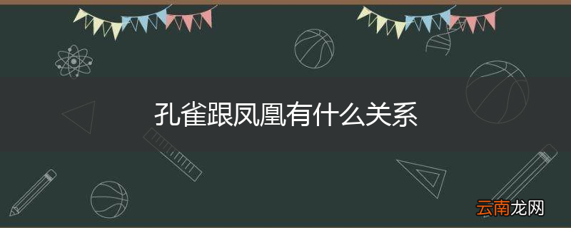 孔雀跟凤凰有什么关系