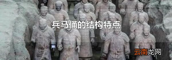 兵马俑的结构特点