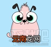 百度区块链数字宠物狗莱茨狗怎么领养?百度区块链数字宠物狗莱茨狗领养方式