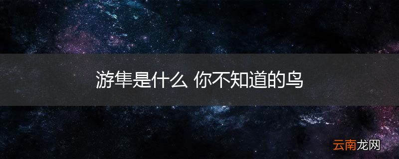 游隼是什么 你不知道的鸟