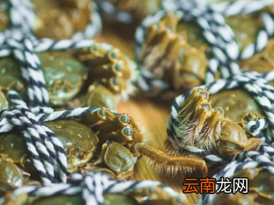 河蟹如何保存放冰箱