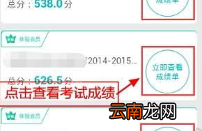 智学网app中查看班级名次具体操作步骤