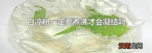 白凉粉一定要煮沸才会凝结吗