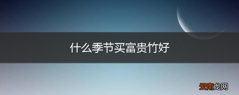 什么季节买富贵竹好