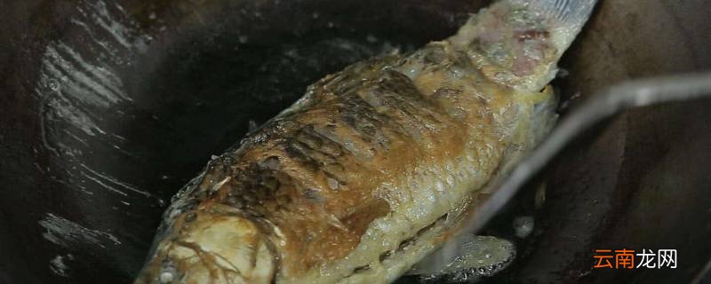 煎鱼是热锅冷油还是冷锅热油