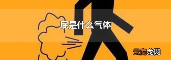 屁是什么气体