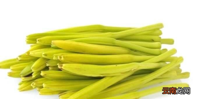 鲜黄花菜有毒不能吃吗?