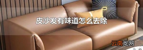 皮沙发有味道怎么去除