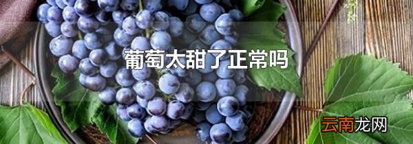 葡萄太甜了正常吗