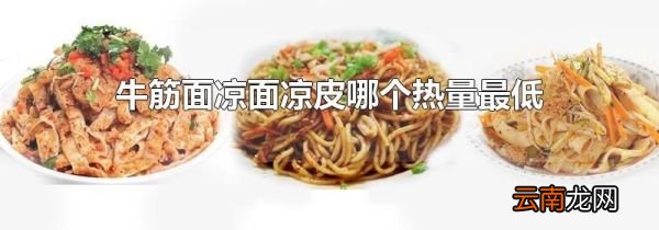 牛筋面凉面凉皮哪个热量最低