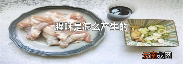 腥味是怎么产生的