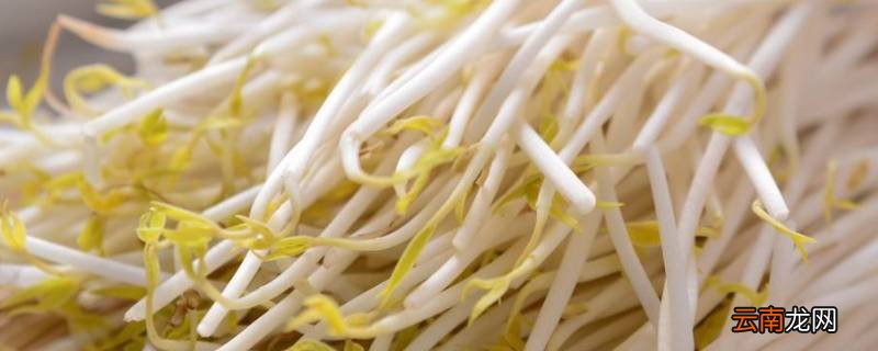 生绿豆芽为何要用热水烫一下