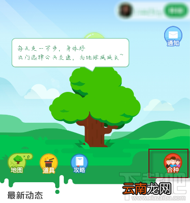 支付宝合种树可以改名字吗 怎么改