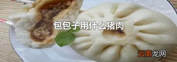 包包子用什么猪肉