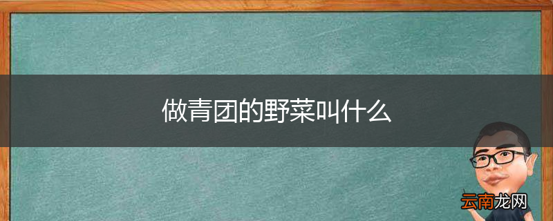 做青团的野菜叫什么