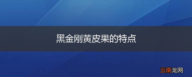 黑金刚黄皮果的特点