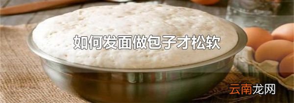 如何发面做包子才松软
