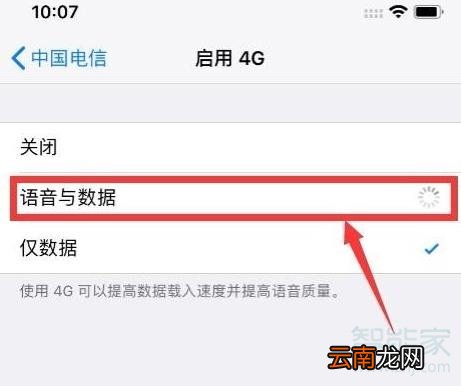 苹果怎么打开volte电信