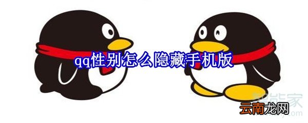 qq性别怎么隐藏手机版