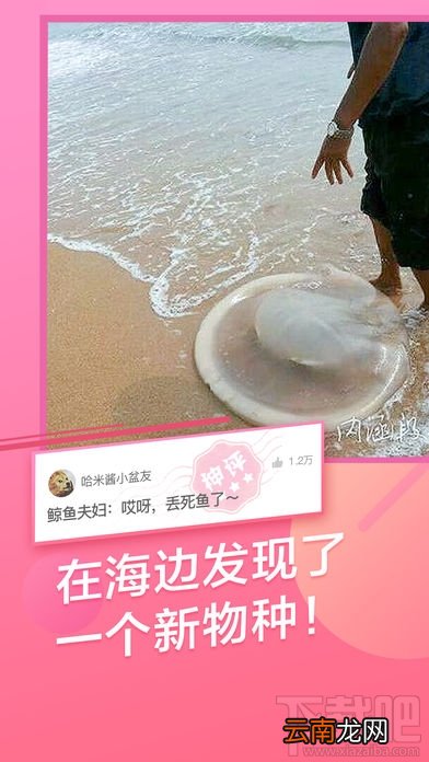 1+9+0=多少是什么意思？1+9+0=多少解释