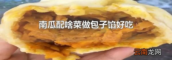 南瓜配啥菜做包子馅好吃